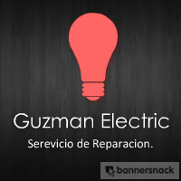 Guzman Electric